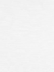 Riva Moire White SC272220001 by Scalamandre Designer Fabric