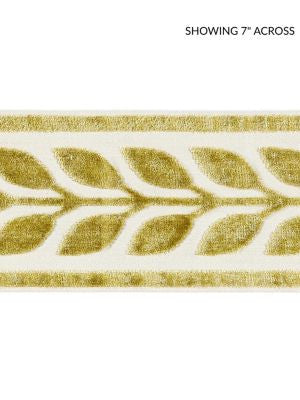 Vigne Velvet Tape Vert SCT32780001 by Scalamandre Designer Trim ORIANA 50% VISCOSE 50% COTTON INDIA LIGHT DUTY Horizontal: 1.5" and Vertical: 4.13 - Swanky Fabrics -