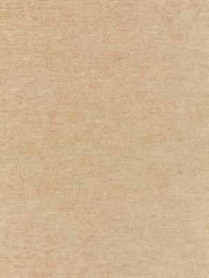 Luna Weave Champagne SC271470002 by Scalamandre Designer Fabric MODERN LUXURY 40% COTTON 36% VISCOSE 24% POLYESTER ITALY MEDIUM DUTY Horizontal: and Vertical: 55 - Swanky Fabrics -