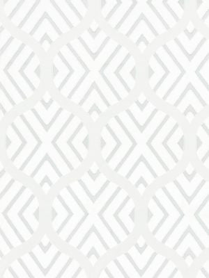 Reina Sheer Starlight SC272340002 by Scalamandre Designer Fabric PACIFICA 48% VISCOSE 26% POLYESTER 26% COTTON INDIA LIGHT DUTY Horizontal: 19.75" and Vertical: 13.5" 55 - Swanky Fabrics -