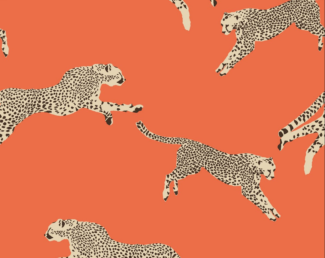 Leaping Cheetah Clementine SCWP88449D0002 by Scalamandre Designer Wallpaper