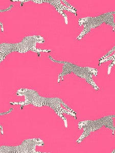 Leaping Cheetah Cotton Print Bubblegum SC166340003 by Scalamandre Designer Fabric