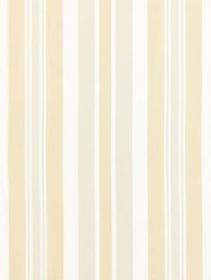 Mayfair Cotton Stripe Pebble SC271120003 by Scalamandre Designer Fabric CHATHAM STRIPES & PLAIDS 100% COTTON INDIA LIGHT DUTY Horizontal: and Vertical: 13.5" 54 - Swanky Fabrics -