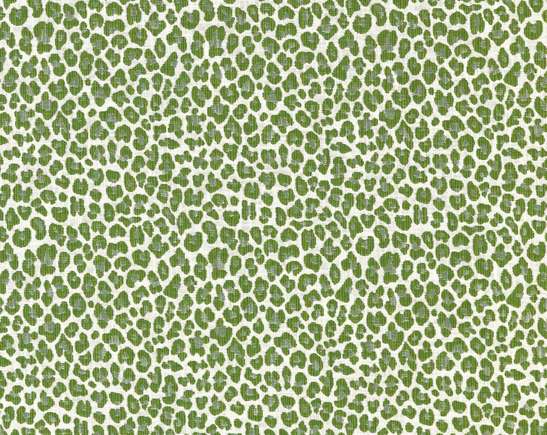 Backyard Bengal Ivy SC273160003 by Scalamandre Designer Fabric