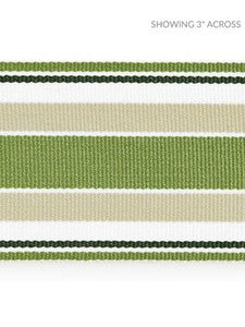 Marina Stripe Tape Palm SCT33110003 by Scalamandre Designer Trim