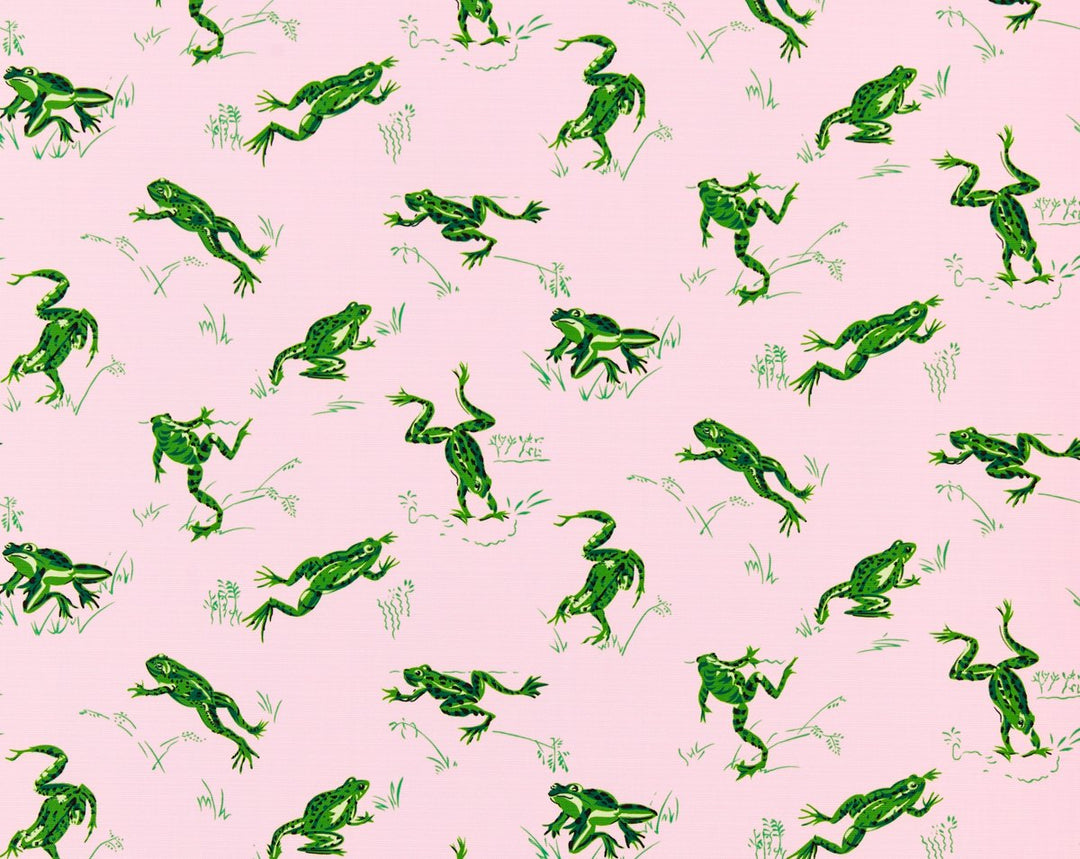 Calabasas County | Outdoor Camelia SC16426M0004 by Scalamandre Designer Fabric
