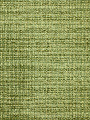 Highland Chenille Grass SC272570004 by Scalamandre Designer Fabric SAHARA 84% COTTON 16% POLYESTER ITALY MEDIUM DUTY Horizontal: 0" and Vertical: 0" 54 - Swanky Fabrics -