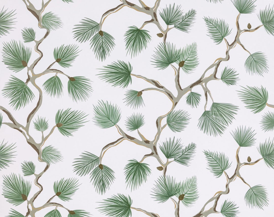 Pignoli Wallcovering Fern SCWP88593D0005 by Scalamandre Designer Wallpaper