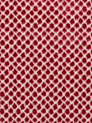 Etosha Velvet Framboise SC270220006 by Scalamandre Designer Fabric MODERN NATURE 45% RAYON 28% VISCOSE 27% COTTON INDIA HEAVY DUTY Horizontal: and Vertical: 55 - Swanky Fabrics -