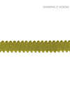 Lancaster Gimp Citron SCV6580006 by Scalamandre Designer Trim