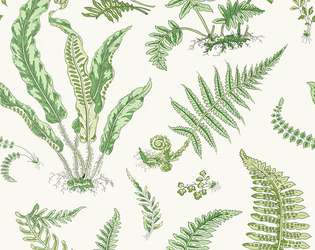 Elsie De Wolfe Wallcovering Fern SCWP88592D0006 by Scalamandre Designer Wallpaper