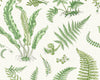 Elsie De Wolfe Wallcovering Fern SCWP88592D0006 by Scalamandre Designer Wallpaper