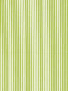 Kent Stripe Pear SC363950012 by Scalamandre Designer Fabric