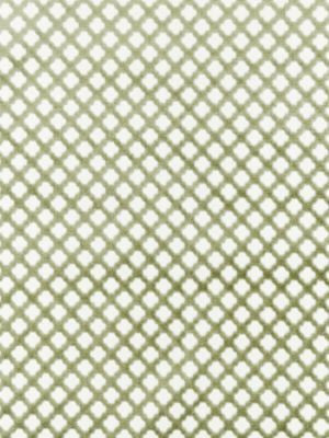 Pomfret Green Tea SC26692M0017 by Scalamandre Designer Fabric BOTANICA 53% COTTON 47% VISCOSE INDIA MEDIUM DUTY Horizontal: 1" and Vertical: 1" 55 - Swanky Fabrics -