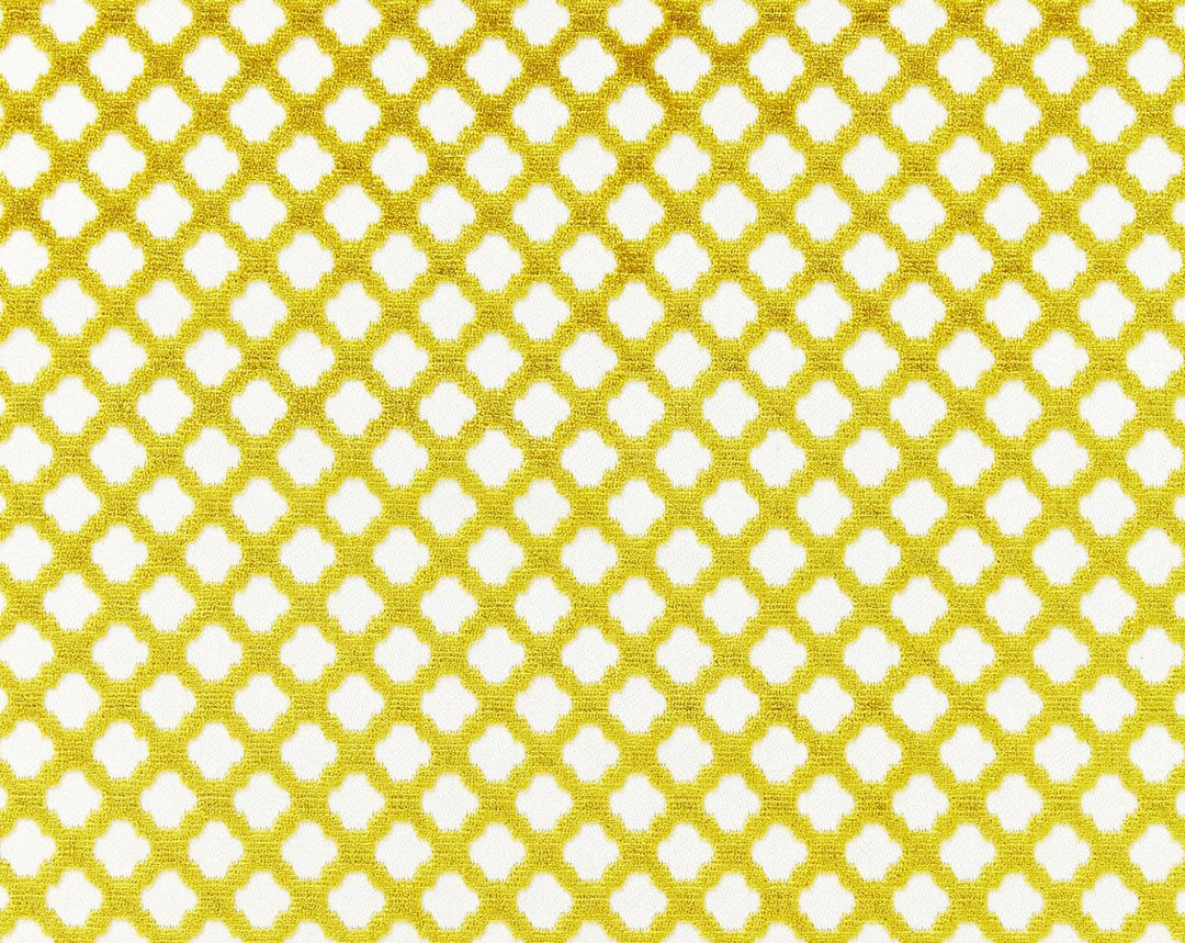 Pomfret Chartreuse SC26692M0020 by Scalamandre Designer Fabric