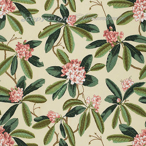Rhododendron Outdoor Reds & Greens On Cream by Scalamandre
 Designer Fabric