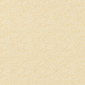 Shagreen Champagne by Scalamandre
 Designer Fabric