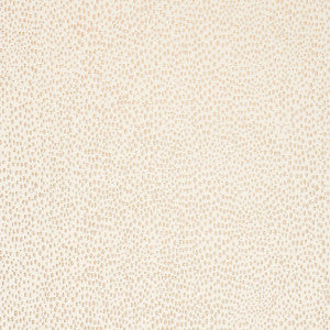 Raindrop/Sand Sc 000127019 by Scalamandre
 Designer Fabric