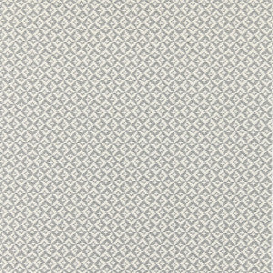 Khiva Weave Pearl Grey by Scalamandre
 Designer Fabric