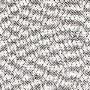 Roatan Weave/Pearl Grey by Scalamandre Designer Fabric