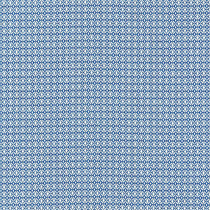 Bird'S Eye Weave Azure by Scalamandre
 Designer Fabric