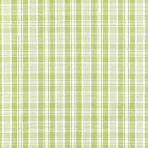 Preston Cotton Plaid Pear by Scalamandre
 Designer Fabric