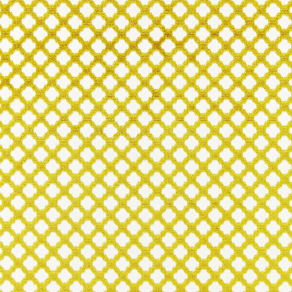 Pomfret Chartreuse by Scalamandre
 Fabric Scalamandre
 Fabric Pomfret ChartreuseFabric BOTANICA 53% COTTON 47% VISCOSE INDIA </p><p>Repeat: H: 1", V: 1" 55" - Fabric Carolina -