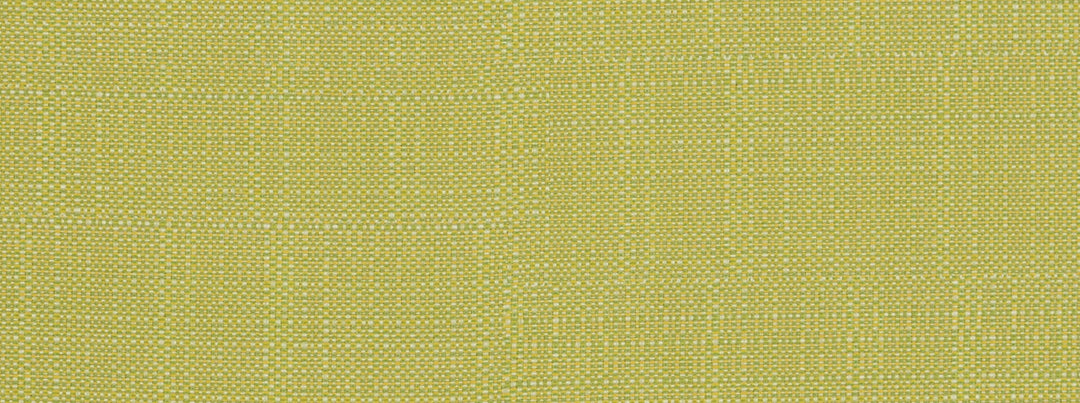 Sd-Clearwater 244M Acid Green by Covington Designer Fabric