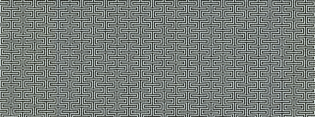 Sd-Detour 916 Ebony/Ivory by Covington Designer Fabric