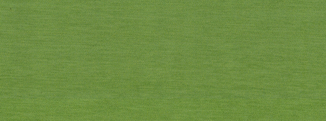 Sd-Skyzone 232 Palm by Covington Designer Fabric