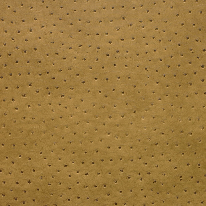 Senna-4 by Kravet Design Designer Fabric - POLY VINYL CHLORIDE - 75%;POLYESTER - 16%;COTTON - 9% Korea, Republic of HEAVY Horizontal: 0 and Vertical: 0 54 - Swanky Fabrics -