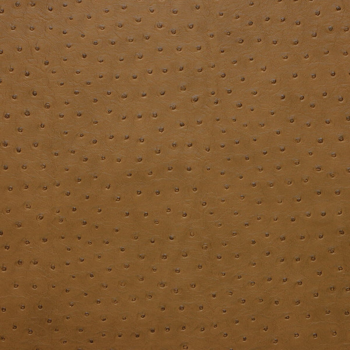 Kravet Design Senna-616 by Kravet Design Fabric Kravet Design Fabric Kravet Design Senna-616Fabric POLY VINYL CHLORIDE - 75%;POLYESTER - 16%;COTTON - 9% Korea, Republic of </p><p>Repeat: H: 0, V: 0 54 - Fabric Carolina -