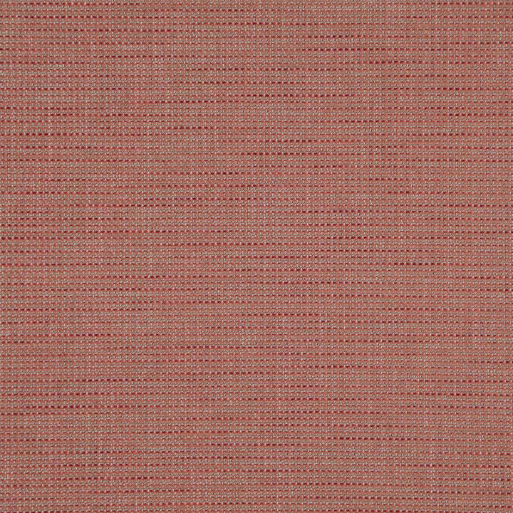 Sentence 42J8321 by JF Designer Fabric Justice Fibrguard 66% Polyester, 33% Acrylic, 1% Viscose Turkey 95000 Horizontal: and Vertical: 56 - Swanky Fabrics -