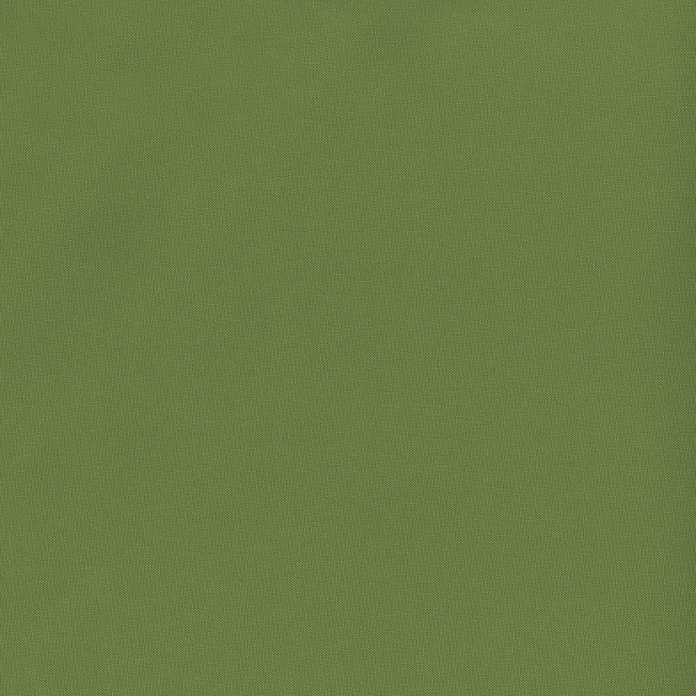 Banks 21 Fern by SolarShade Designer Fabric 100% Solution Dyed Polyester CN 150,000 Double Rubs (Wyzenbeek) </p><p>Repeat: Horizontal: and Vertical: 54 in. (137 cm) - Swanky Fabrics -