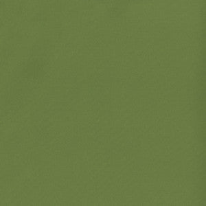 Banks 21 Fern by SolarShade Designer Fabric