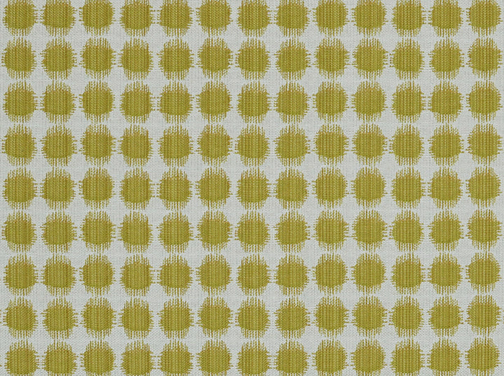 Sesto 244 Acid Green by Covington Designer Fabric Covington Right 21.66 32.49 0 0 by product