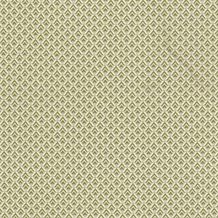 Sharon 2 Apple by Stout Fabric Stout Fabric Sharon 2 AppleFabric GREAT IMPRESSIONS GREEN/SPICE/NATURALS 86%COT 14%POL USA </p><p>Repeat: H: 1.000, V: 0.875 55.5 in - Fabric Carolina -