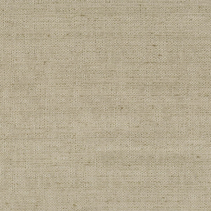 Shea 4 Flax by Stout Designer Fabric Beautiful Accents 100% Polyester INDIA WYZENBEEK 20 000 DOUBLE RUB WEAR TEST (HEAVY DUTY) Horizontal: 0 and Vertical: 0 54 in - Swanky Fabrics -