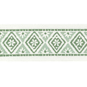 Shenandoah Tape 3 Seaglass by Stout Designer Trim