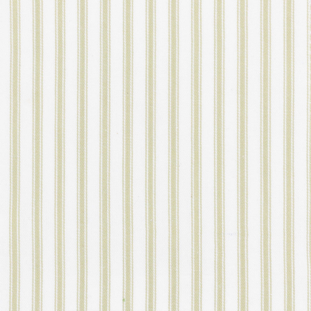 Shiloh 1 Aloe by Stout Designer Fabric RAINBOW LIBRARY PEAR/JUNGLE 100%COT CHINA PERFORMANCE RATED FABRIC CATB 117-2013 WYZENBEEK 30 000 DOUBLE RUB WEAR TEST (HEAVY DUTY) Horizontal: 0.500 and Vertical: 0.000 56 in - Swanky Fabrics -
