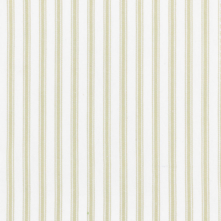 Shiloh 1 Aloe by Stout Fabric Stout Fabric Shiloh 1 AloeFabric RAINBOW LIBRARY PEAR/JUNGLE CHINA </p><p>Repeat: H: 0.500, V: 0.000 56 in - Fabric Carolina -