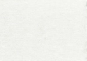 Shuster Ice by Norbar Designer Fabric BLISS 100% INHERENTLY FLAME INDIA 54 - Swanky Fabrics -