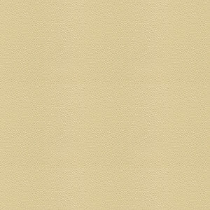 Side Kick Fog by Kravet Couture Designer Fabric