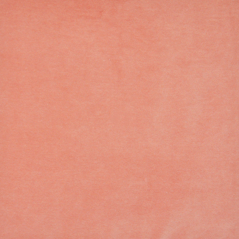 Snug # 401 Coral by Maxwell Designer Fabric Performance Velvets-Vol.I 67.2% POLYESTER 32.8% COTTON TURKEY 55" - Swanky Fabrics -