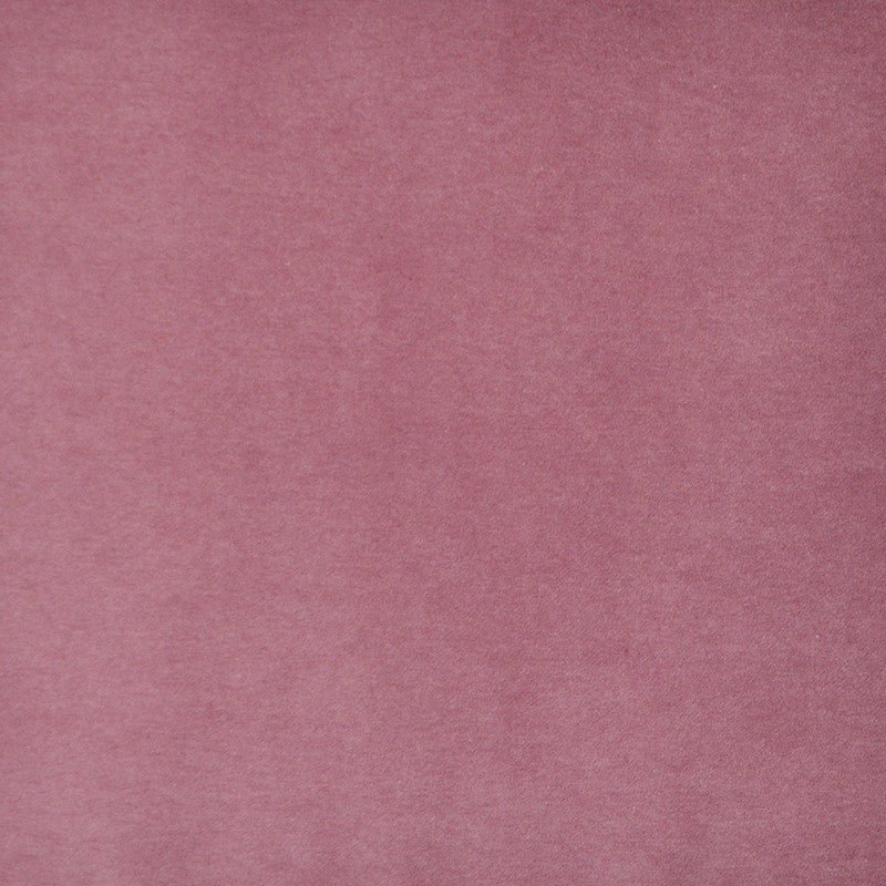 Snug # 415 Flower by Maxwell Designer Fabric Performance Velvets-Vol.I 67.2% POLYESTER 32.8% COTTON TURKEY 55" - Swanky Fabrics -