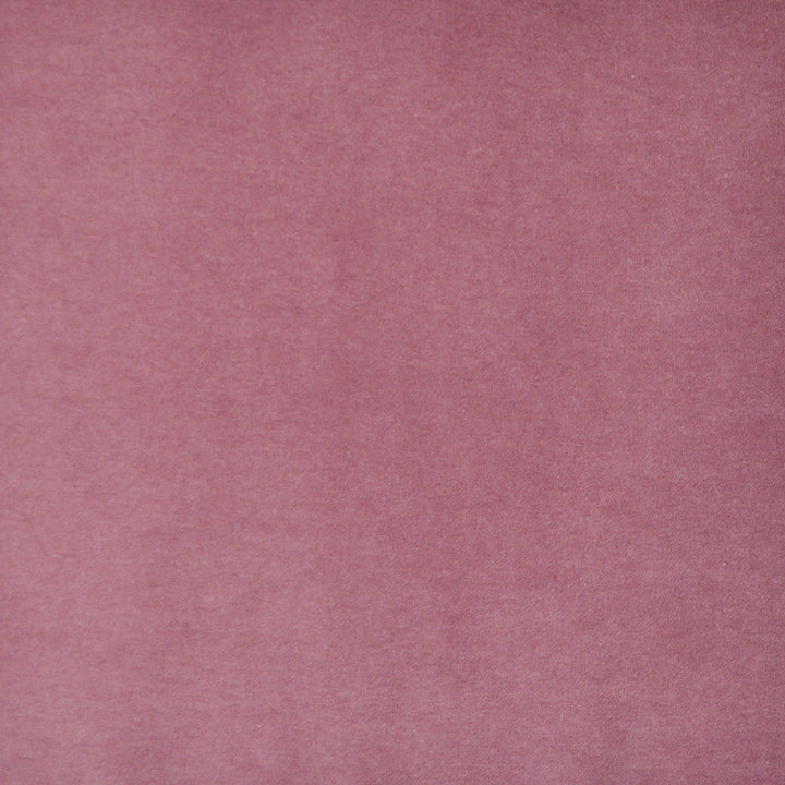 Snug # 415 Flower by Maxwell Designer Fabric Performance Velvets-Vol.I 67.2% POLYESTER 32.8% COTTON TURKEY 55" - Swanky Fabrics -