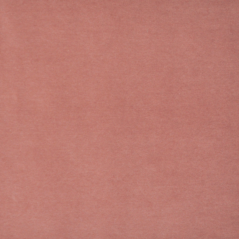 Snug # 418 Grapefruit by Maxwell Designer Fabric Performance Velvets-Vol.I 67.2% POLYESTER 32.8% COTTON TURKEY 55" - Swanky Fabrics -