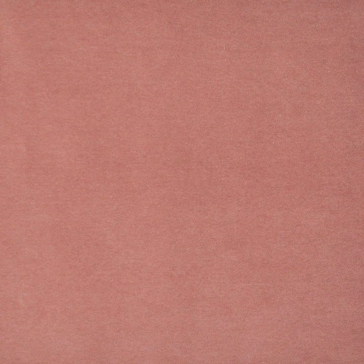 Snug # 418 Grapefruit by Maxwell Designer Fabric Performance Velvets-Vol.I 67.2% POLYESTER 32.8% COTTON TURKEY 55" - Swanky Fabrics -