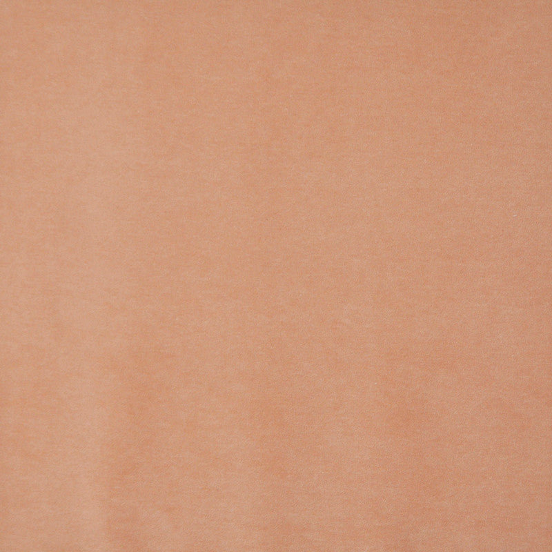 Snug # 419 Soft Orange by Maxwell Designer Fabric Performance Velvets-Vol.I 67.2% POLYESTER 32.8% COTTON TURKEY 55" - Swanky Fabrics -