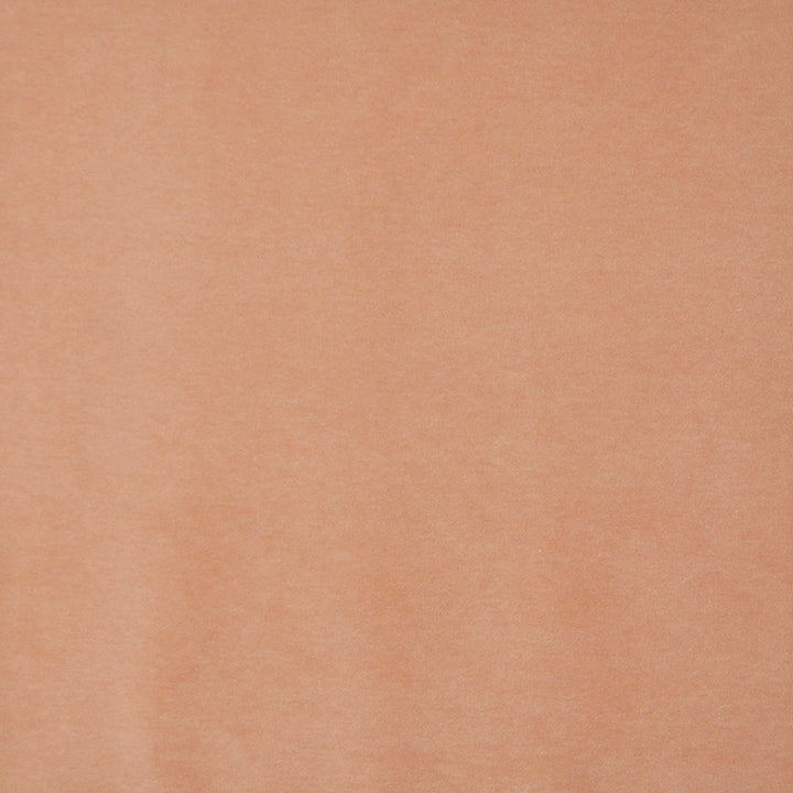 Snug # 419 Soft Orange by Maxwell Designer Fabric Performance Velvets-Vol.I 67.2% POLYESTER 32.8% COTTON TURKEY 55" - Swanky Fabrics -